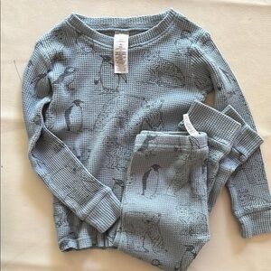 Carter's Little Planet Organic Pajama Set